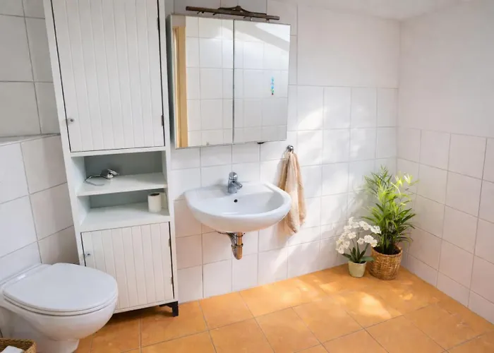 Exklusives Loft Braunlage Mit 2 Garagen I Verwaltung Und Betreuung Durch Firma Zz-Braunlage