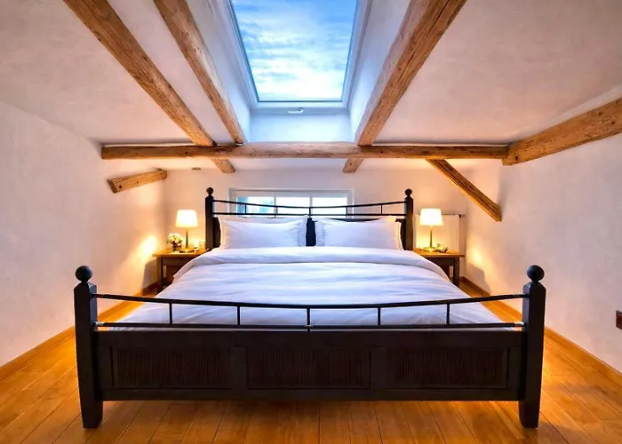 Exklusives Loft Braunlage Mit 2 Garagen I Verwaltung Und Betreuung Durch Firma Zz-Braunlage Apartment *
